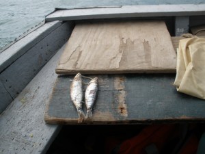 On-board snack? I wonder how long those have been there...