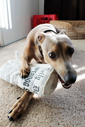 Mosey & Newspaper