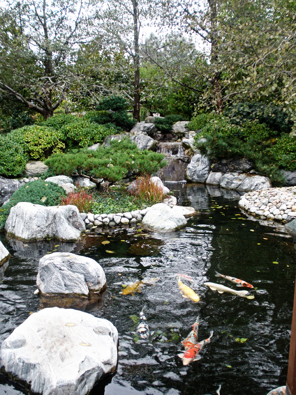 Japanese Friendship Garden