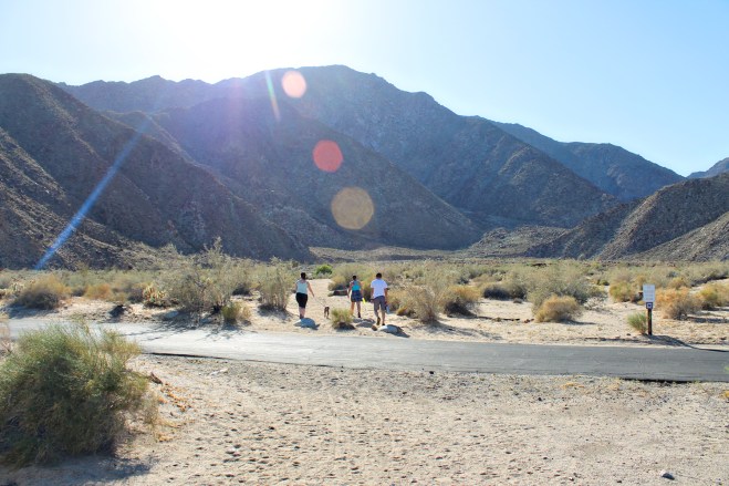 Anza Borrego 2